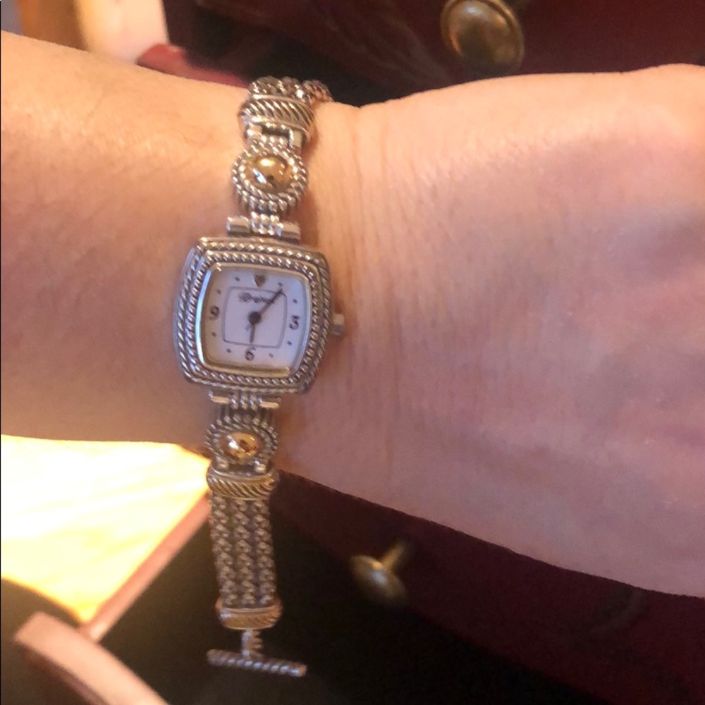 Brighton watch
